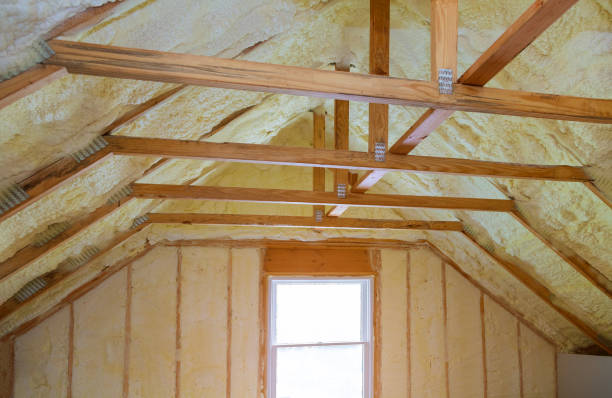 Best Residential Insulation in Sammamish, WA