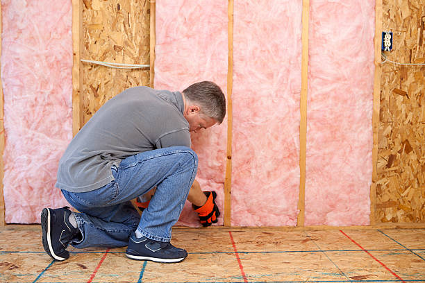 Best Types of Insulation in Sammamish, WA