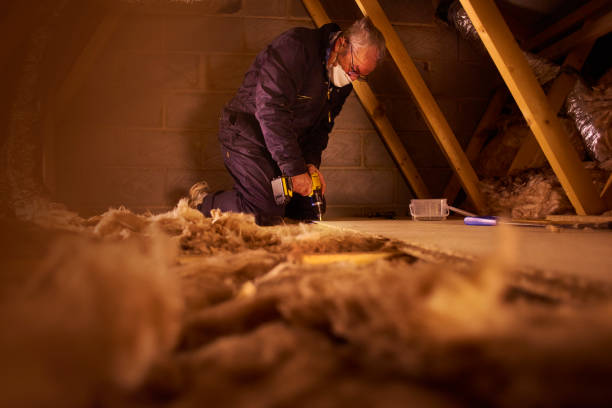Best Insulation Materials and Products in Sammamish, WA