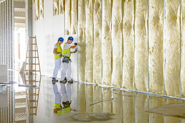 Best Insulation Maintenance and Repair in Sammamish, WA
